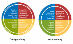 Insights colour theory