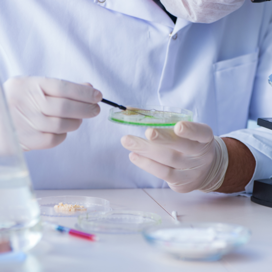 Antimicrobial Resistance Key Policy Updates