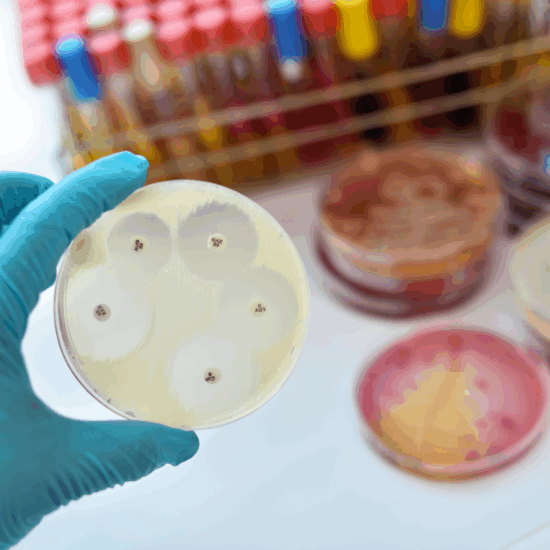 antimicrobial resistance thumbnail